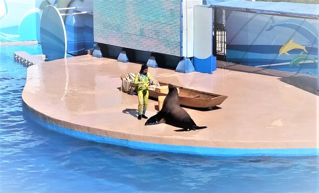 Ocean Park Hong Kong