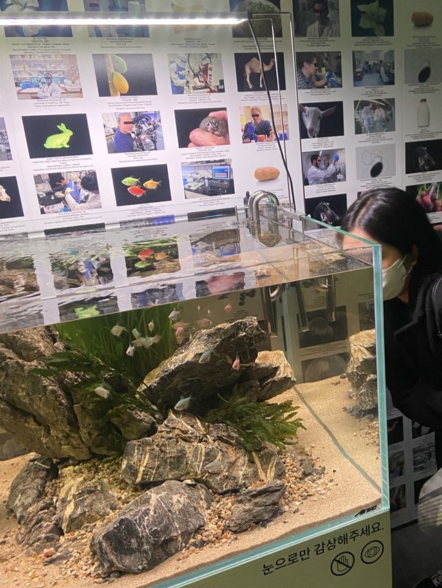 부산 실내데이트 추천 :: 무료 전시회 📸