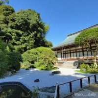 【鎌倉の代名詞🌿報国寺】