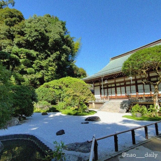 【鎌倉の代名詞🌿報国寺】