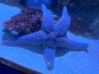 Amazing Animals at Ocean Park Hong Kong! 