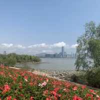 風景優美 深圳灣公園