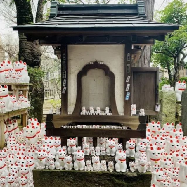 lucky cat temple 