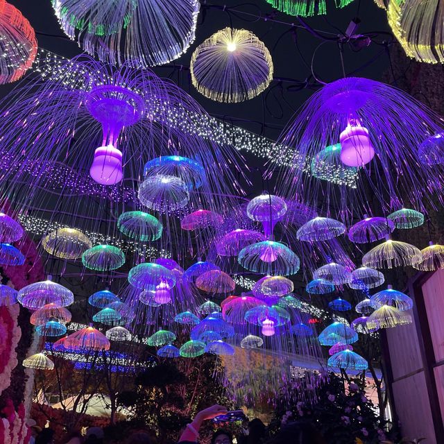 返嚟啦，返嚟啦，2023香港🌸🌹🌻花卉展覽