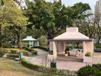 九龍城廣場旁邊嘅賈炳達道公園