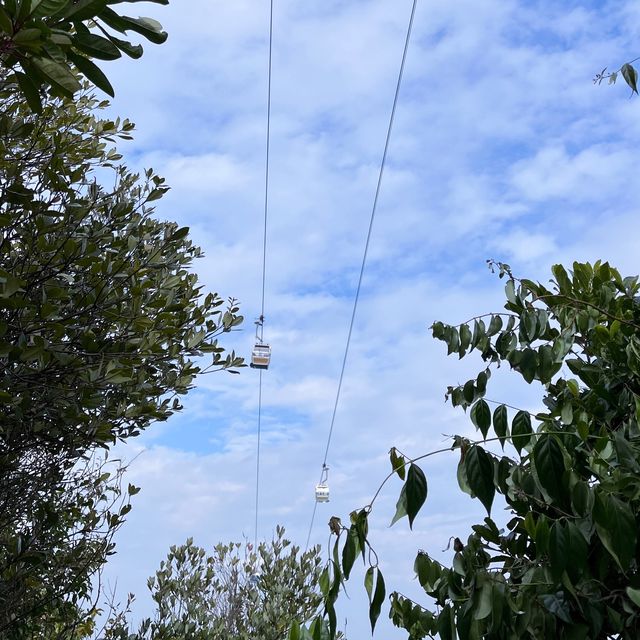 以不一樣的角度來看風景