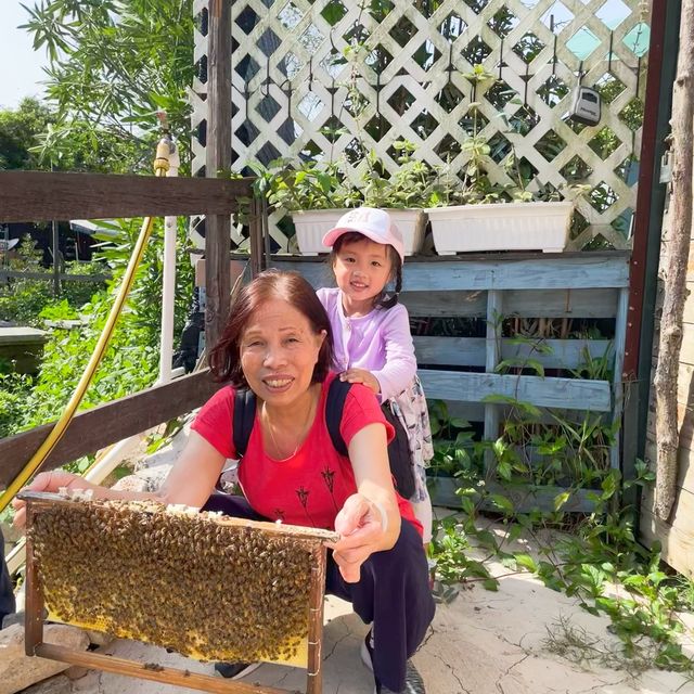 第一次黎到小蜜蜂之家🐝近距離接觸佢地！🐝