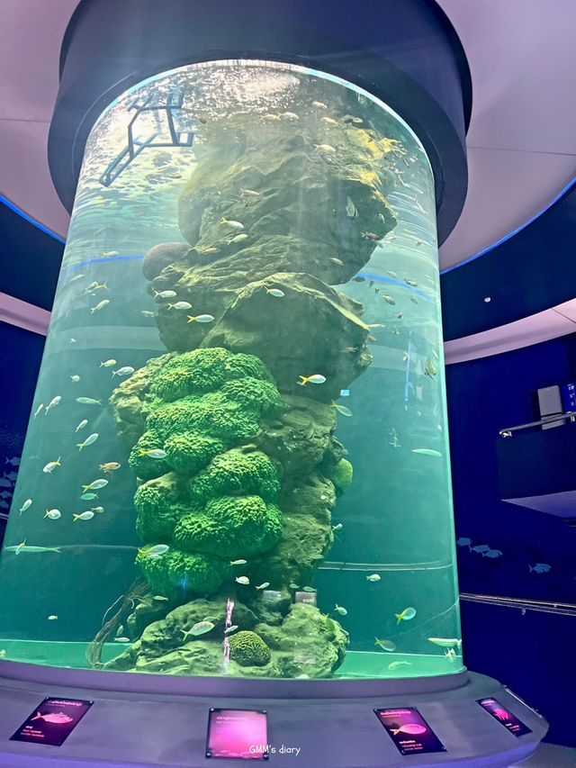 เที่ยวอควาเรียมสุดฮิตในบางแสน ✨🐋