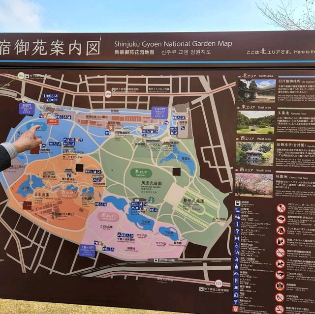Spacious park in the city