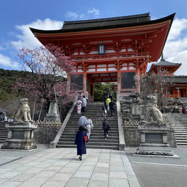 必去京都寺廟#清水寺#