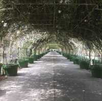 Garinfarm