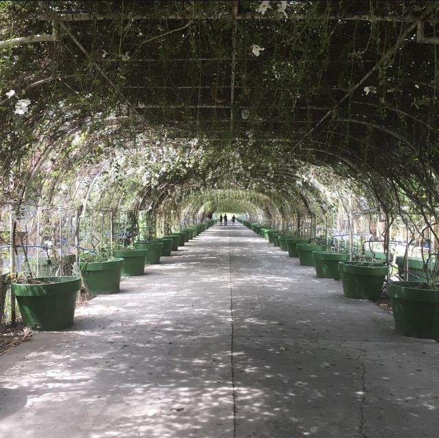 Garinfarm