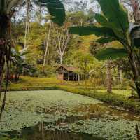 Tukad Cepung Water, Bali