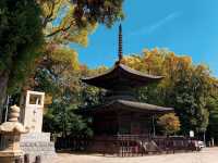 ศาลเจ้าจิริว 知立神社🏯
