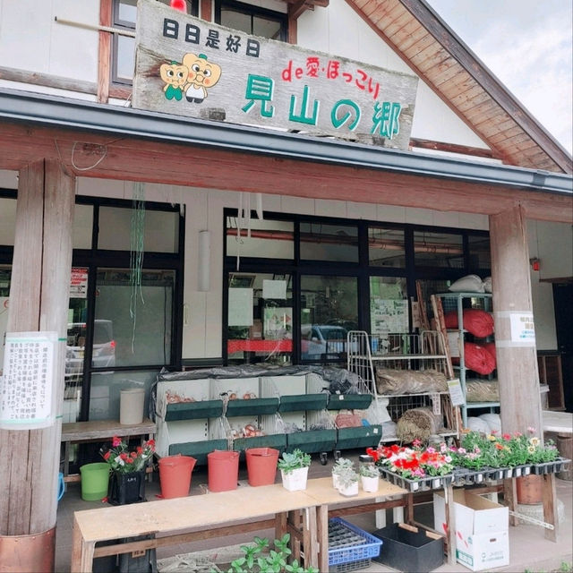 全て茨木産！手作りジェラード　見山の郷