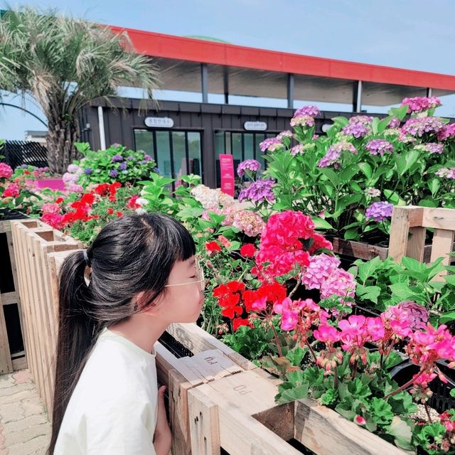 태안 코리아플라워파크에서 수국에 빠져보기💕
