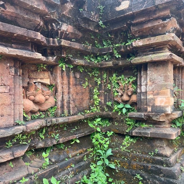 [世界遺産]ミーソン聖域inベトナム🇻🇳