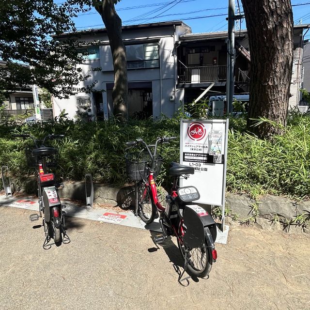 世田谷城址公園 世田谷城址公園