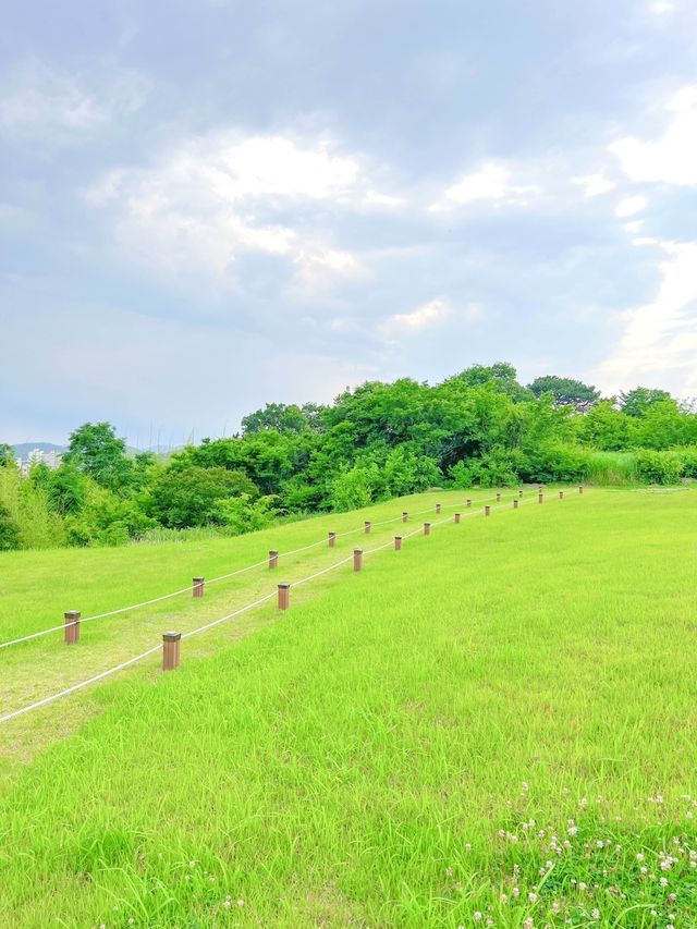 드넓은 초록빛, 창녕 교동 고분군🌿