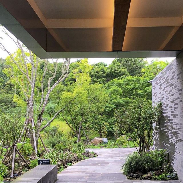 🌱 자연과 가까운 오설록, 이니스프리 제주하우스!