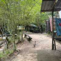 BEST CAMPSITE EVER 