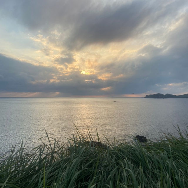 제주 수월봉에서 대자연 느껴보기 💚