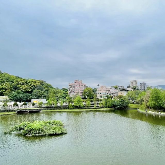 湖畔漫步🌳🏞️台北碧湖公園💎