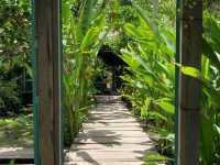 คาเฟ่ในสวน@The Three Little Pigs 