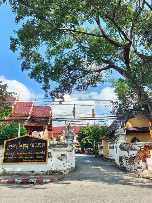 Wat tung yu🙏🏼