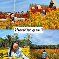สวนดอกไม้ ไร่คุณอารียา @ กระบี่ 