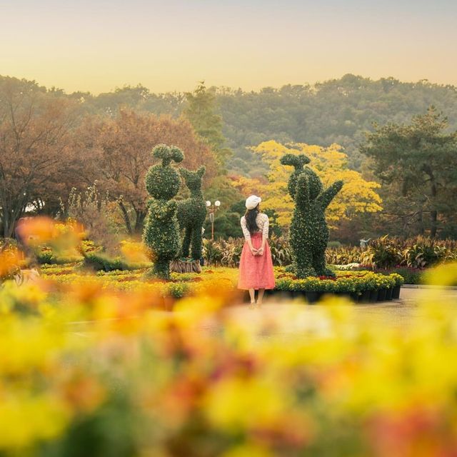 Autumn Festival Daegu Arboretum 