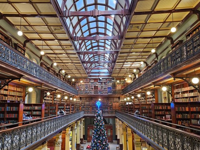 🇦🇺 대형 크리스마스 트리를 볼 수 있는 남호주 주립 도서관