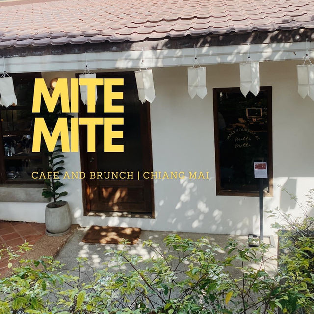 MITTE MITTE 🌻✨ ซีรีส์เชียงใหม่ เชียงใจ 