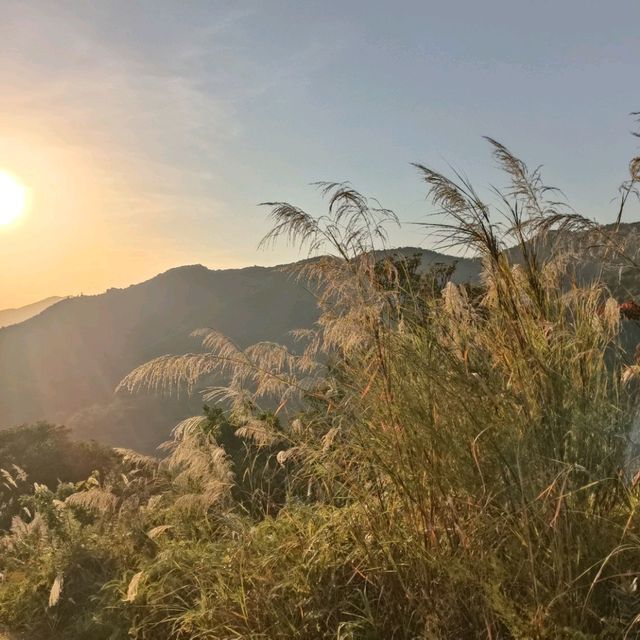 粉嶺郊遊