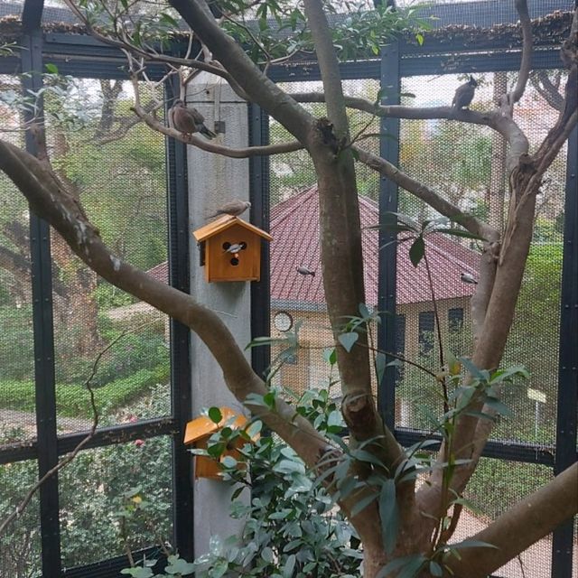 元朗公園悠閒好去處