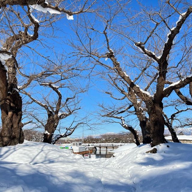 函館代表景點 五稜郭公園❄️