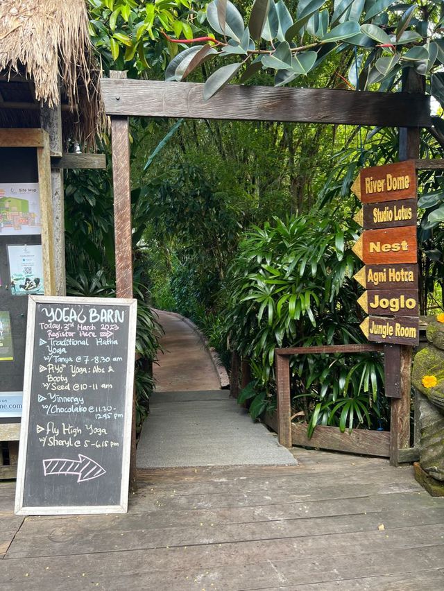 The Yoda, oops, YOGA Barn in Ubud is Amazing