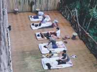 บ้านต้นไม้แม่แมะ Tree House Hideaway