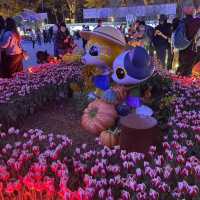 返嚟啦，返嚟啦，2023香港🌸🌹🌻花卉展覽