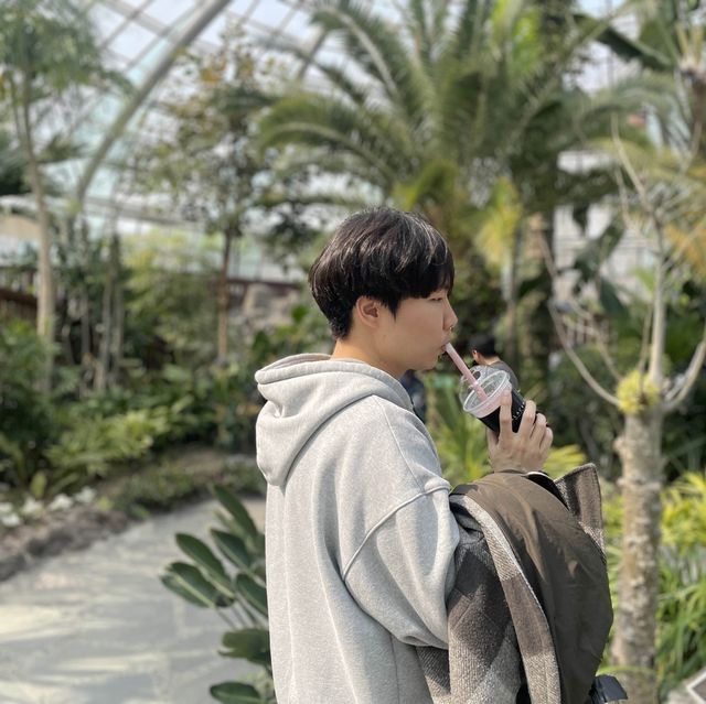 봄꽃 가득한 물향기 수목원🌿