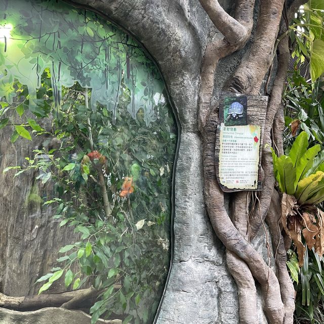 去邊去玩？🤣來香港Ocean Park。