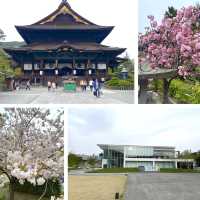 長野市的名勝善光寺及城山公園