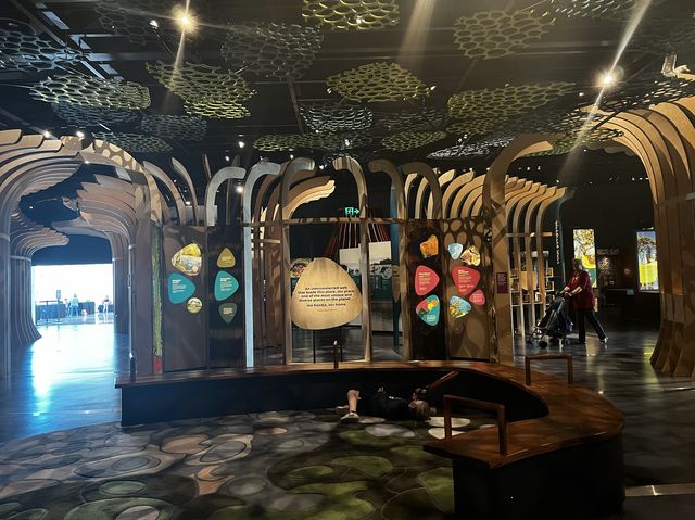 My Ancestors' 🤩🥰 Museum of my vibe🫢😝
