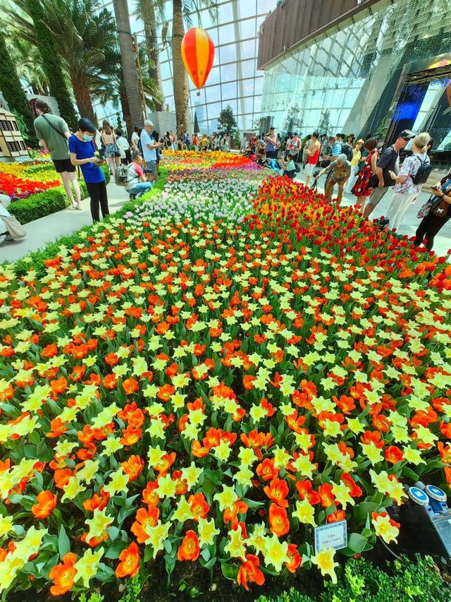 TulipMania @FlowerDome Gardens By The Bay