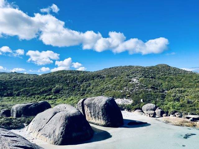 Blue Blue Sky Green Green Grass💙🤭