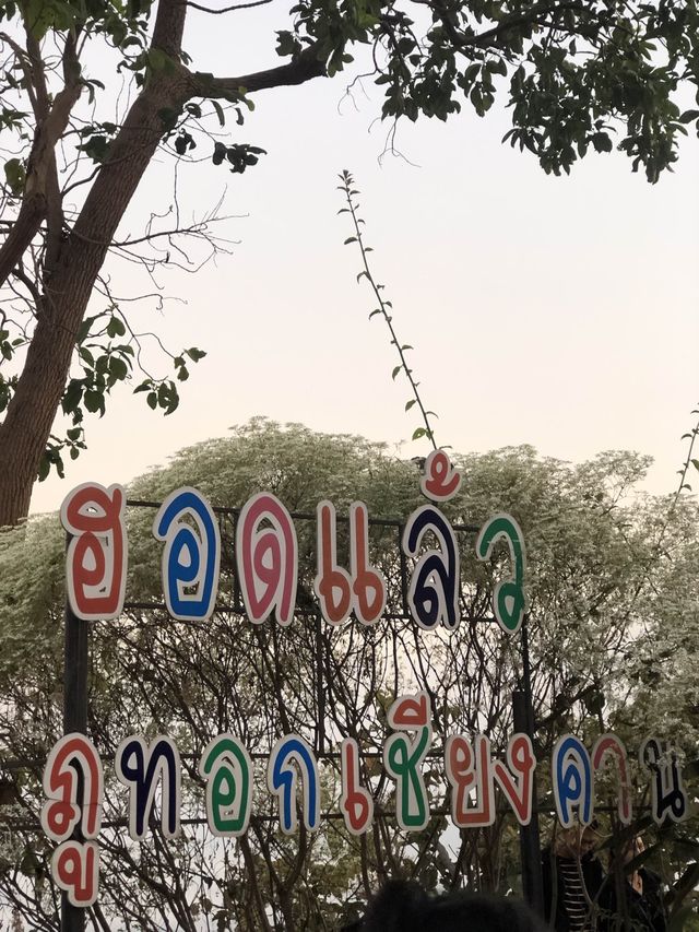 ขึ้นเขาไปชมทะเลหมอกกัน⛰️