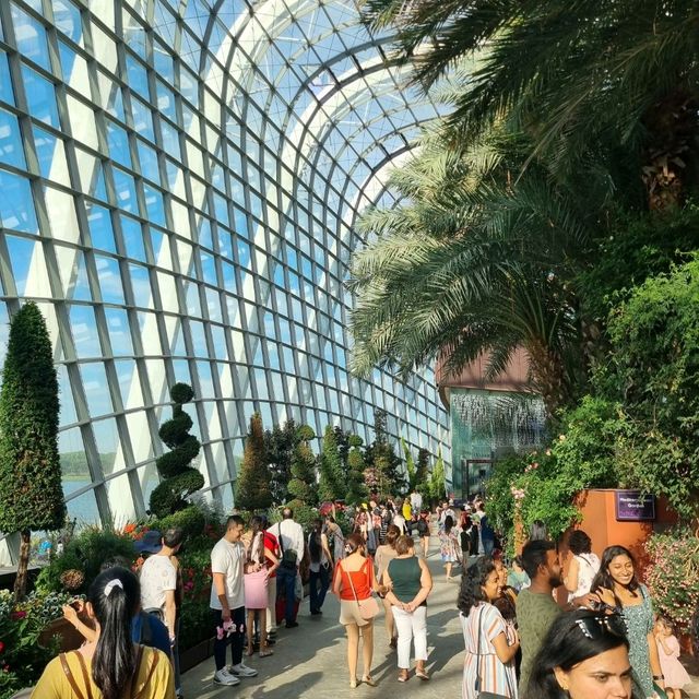 The Flower Dome @ Gardens By The Bay