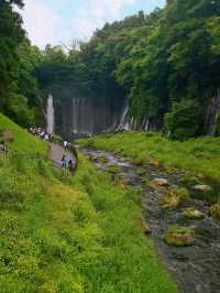 【静岡】白糸ノ滝
