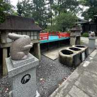 【超多可愛兔兔】京都東天王岡崎神社
