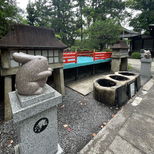 【超多可愛兔兔】京都東天王岡崎神社